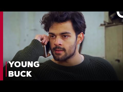 Yagız Beats Up Everyone - Can't Stop Loving You