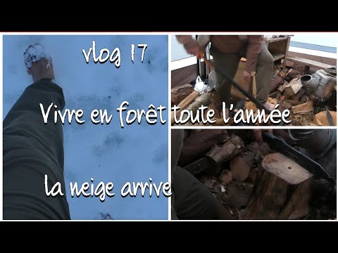 Vlog 17: vivre en forêt toute l’année - l’arrivée de la neige #forêt #caravanlife #neige