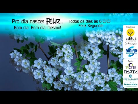 Pro dia nascer Feliz... Bom dia! Bom dia, mesmo! #346