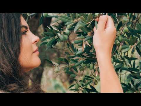 🏛️ Athena  The Wise & Powerful Goddess of Olympus ⚡   Greek Mythology Explained