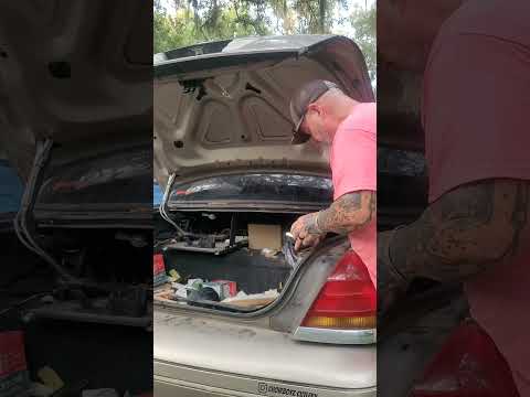 DAY 294 @RoseCraftBlades