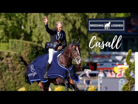 Breeding Legends | Casall 🌟 | Sein Werdegang sportlich sowie in der Zucht