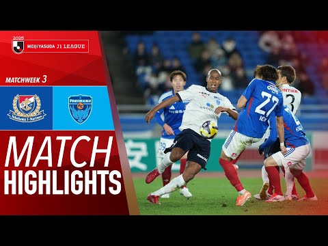 bg-highlight