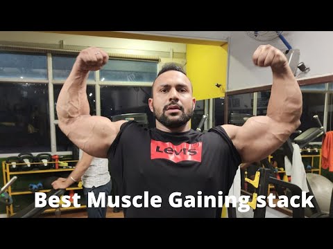 Mysha Nutrition Testosterone Booster