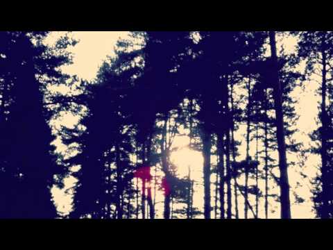 Bears- A Christmas Quarrel