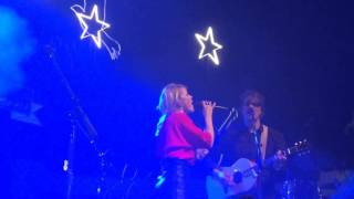 Christmas around me - Common Linnets