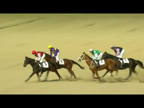 23. 10. 2021 - 3. dostih - Cena FALCON SECURITY