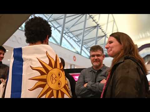 Vista previa del artículo de YouTube