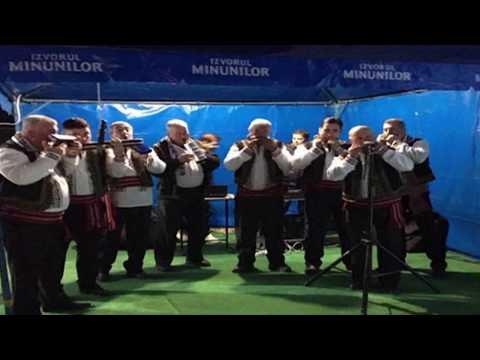 Formatia de muzicute din comuna Berceni