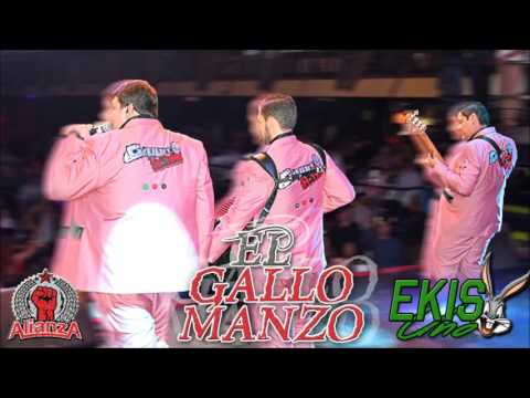 El Gallo Manzo - Grupo H-100