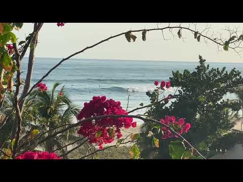 Surfing #beachfrontparadiseboutiquehotel