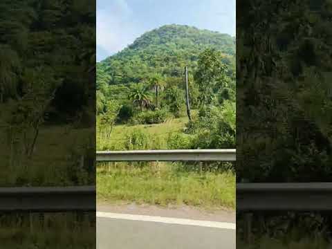 what's your future car !?🤔 #bugatti #shorts #laboranddelivery #trending #vlog #chocolate