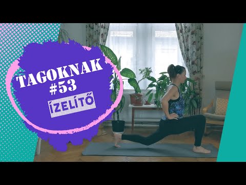 TAGOKNAK 53  ízelítő