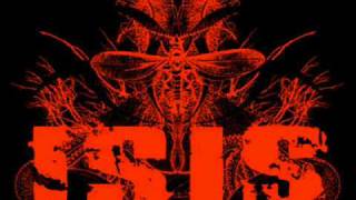 Life Under The Swatter