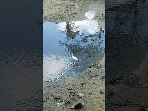 Macaíba,  no Rio Grande do Norte