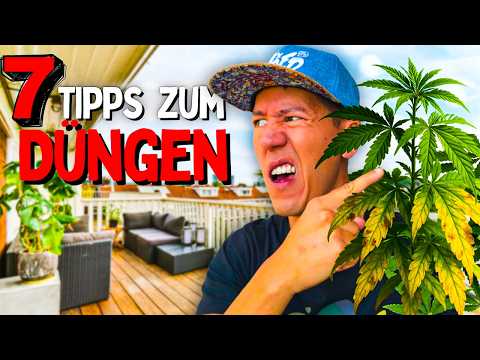 STOPP! 😵 Darum werden deine Pflanzen gelb! Nährstoffmangel Düngen und Co.