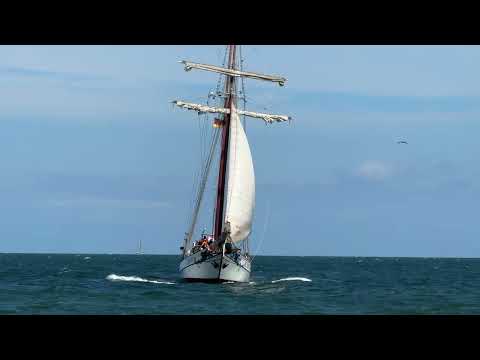 TOLKIEN Segelschiff in Warnemünde / Ostmole Hohe Düne 11.8.2024 Hanse Sail Rostock 2024