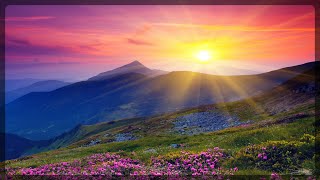 Animal Island - Gimme That Sunshine