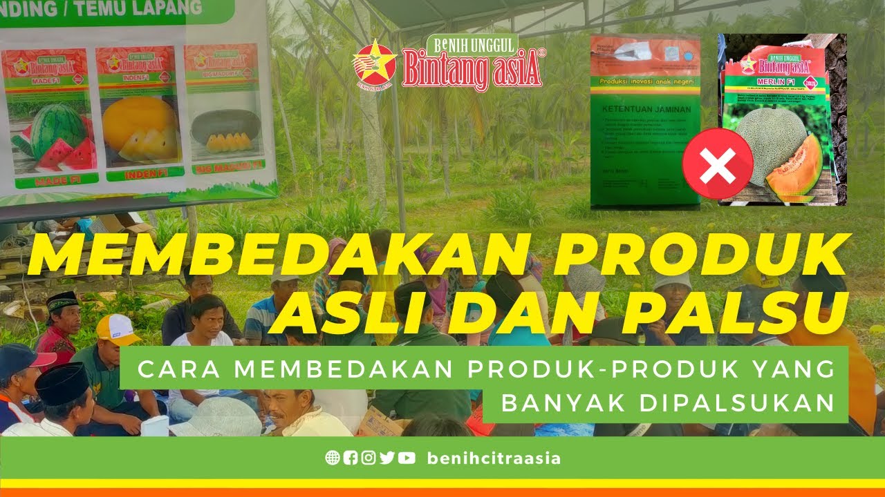 MEMBEDAKAN PRODUK ASLI & PALSU BINTANG ASIA