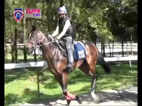 FLOREAL NEWS RACE MEETING 33