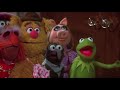 The Muppet Movie Animal Hairs