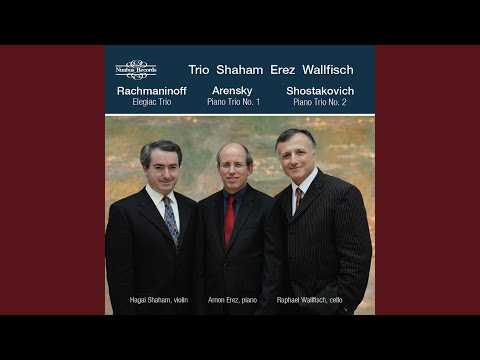 Piano Trio No. 2 in E Minor, Op. 67: I. Andante