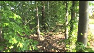 48HFP3 Pretty Things