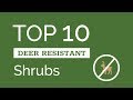 Top Ten Deer Resistant Shrubs
