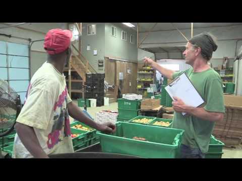 Standard Operating Procedures