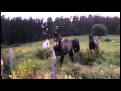 Alrededores Mendexa  (Created with @Magisto)