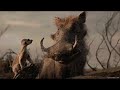 Timon And Pumbaa Funny Scene In Hindi