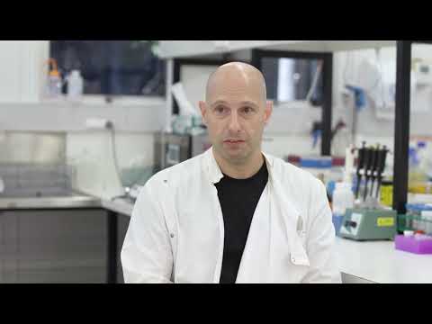 SBMS Research Theme - Drug design and development