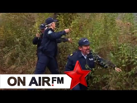 Cima, Fiza, Kungji - Kanabisi