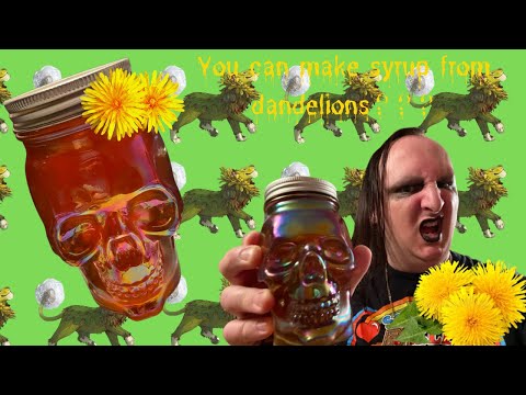 The ONLY Dandelion Syrup Recipe You’ll EVER Need! | Poor Man’s Honey | Dandelion Honey