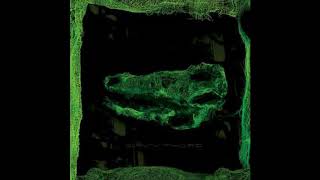 11   Avey Tare   Ghost of Books