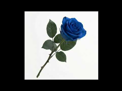 Quando É Amor - Gael Maia