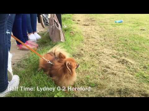 @HerefordGoals Highlights - Lydney Town 1-6 Hereford FC (Includes some GoPro Goals)