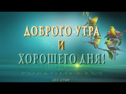🎶💗🌞Доброго Утра и Хорошего Дня!