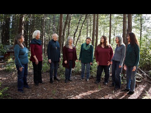 An Cailín Rua (The Red-haired Girl)  performed by Zambra, February 2025