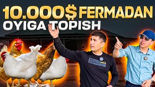 90 808-66-17 TOVUQ FERMA QURILISHI QANDAY? 10.000$ TOPADI FERMA