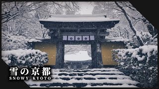 京都左京区の白銀の世界が広がる雪の神社仏閣3選 | 2025 Shrines and temples surrounded by beautiful snow in Kyoto【Sakyo-ku】