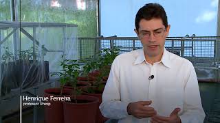 Miniatura do vídeo