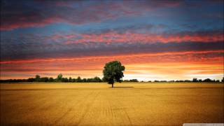 Alucidnation - Music To Drive To
