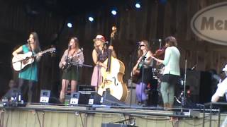 Della Mae- Pine Tree