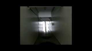 NEGOBAUER PRODUCTIONS - Hammerfall - Patient Zero