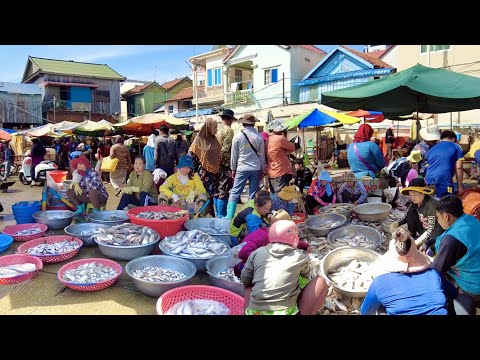 Amazing Site Fish Distribution In Phnom Penh At Kilo Number 9 | Mak Mak Market