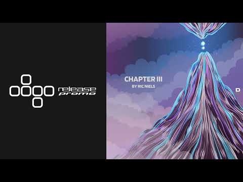 PREMIERE: Ric Niels & Will DeKeizer - Detoner [Deepwibe Underground]