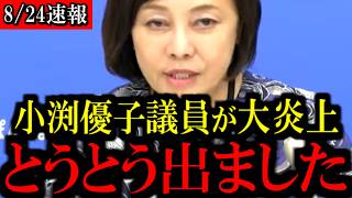 ※消費税減税を拒む小渕優子氏…トンデモない発言が出てきました...【百田尚樹/有本香/島田洋一/北村晴男/日本保守党】
