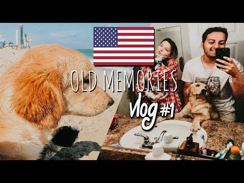 Miami Fora da Caixa VLOG#1 - Praia Para Cachorros