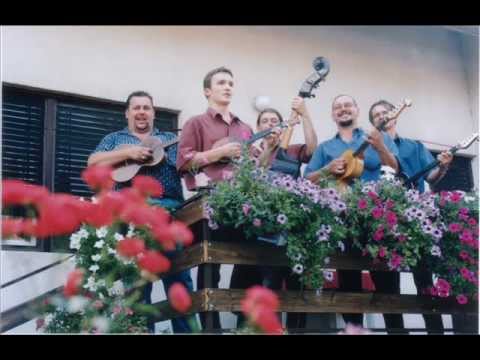 TS Svirci - Nije ljubav za me rođena